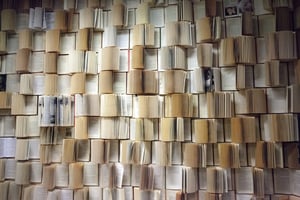 Un mur de livres. © Kerttu/CC/Pixabay