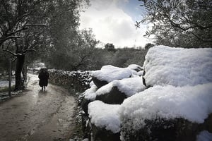 Une vague de froid frappe la Tunisie depuis le début du mois de janvier 2017. © R.Gj/CC/Flickr
