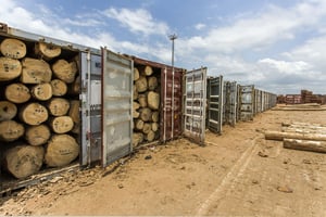 Embarquement du bois au port grumier de San Pédro, en Côte d’Ivoire, en mars 2016. © Jacques Torregano pour JA