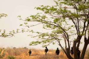 Des éléments des forces spéciales camerounaises patrouillent. © Andrew Harnik/AP/SIPA