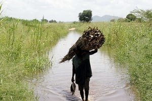 Image d’illustration : un fermier mozambicain le 15 février 2007 à Caia dans le nord du pays. © THEMBA HADEBE/AP/SIPA