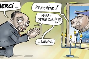 L’œil de Glez. © Glez / J.A.