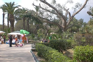 Le parc du Belvédère, à Tunis. © M Dh/Wikimedia Commons