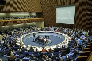 Réunion du conseil exécutif de l’Organisation mondiale de la santé à Genève le 23 janvier 2017. © Salvatore di Nolfi/AP/SIPA