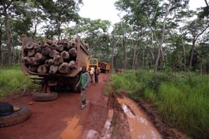 Un camion transportant du bois rouge tombe en panne sur la route Kasenga-Pweto, dans le sud-est de la RDC. © DR