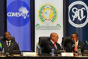 Sommet du Comesa, à Johannesburg, en Afrique du Sud, le 12 juin 2011. © GovernmentZA/Flickr
