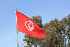 Un drapeau tunisien géant a été inauguré le 20 mars au parc du Belvédère, à l’occasion de la fête de l’indépendance. © Riyadh Al Balushi/CC/Flickr