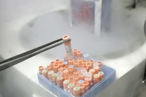 Un chercheur manipule des tubes à essai remplis de cellules souches dans un laboratoire de Sao Paulo au Brésil le 3 mars 2008. © Andre Penner/AP/SIPA