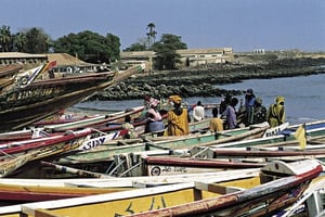 Vue du parc national des îles des Madeleines, au Sénégal, en 2003. © Jacques du Sordet / les Éditions du Jaguar