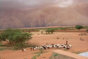 Tempête extrême dans le Sahel. © Françoise GUICHARD / Laurent KERGOAT / CNRS Photo Library
