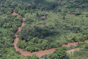 Vue aérienne de la forêt et d’une rivière au Nord-Kivu, RD Congo. © Monusco/CC/Flickr