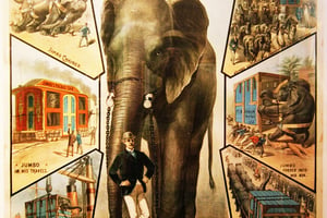 « Ces animaux qui font l’Histoire » est édité chez Delachaux et Niestlé. © DR