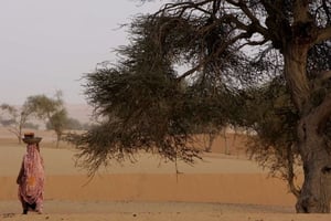 Nomade mauritanienne marchant dans le désert, aux frontières de Chinguetti, sur les plateaux désertiques de l’Adrar, le 13 mars 2007 (illustration). © Schalk van Zuydam/AP/SIPA