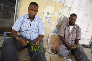 Deux hommes s’apprêtent à consommer du khat (ou qat), assis sur un trottoir d’une rue de Djibouti, le 11 novembre 2011. © Vincent Fournier/JA