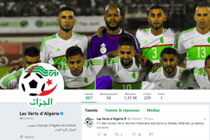 La page Twitter Les Verts d’Algérie. © Capture d’écran Twitter