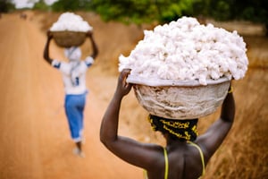 Deux agricultrices burkinabè transportent du coton après la récolte, en 2013 au Burkina Faso. © FLICKR / Ollivier Girard/CIFOR / Creative Commons