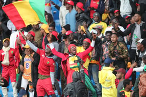 Dans les tribunes des supporteurs de la Guinée, lors du CHAN-2018. © DR / CAF