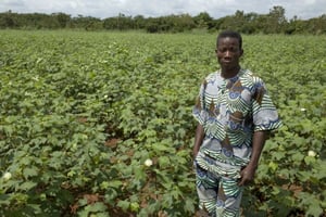 Un exploitant agricole béninois, au milieu de champs de coton, le 12 octobre 2012 © Jacques Torregano pour Jeune Afrique