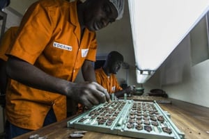 Unité de transformation de cacao de l’usine Choco Ivoire à San Pedro (Côte d’Ivoire) en mars 2016. © Jacques Torregano pour JA
