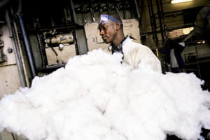 En 2017, le pays est redevenu le premier producteur de coton du continent. © Riccardo Venturi/Contrasto/REA