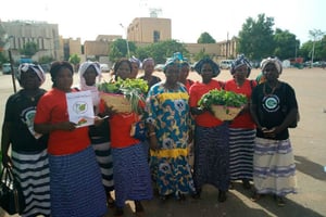 Participation de la Saisonnière à une marche à Ouagadougou, le 2 juin 2017 pour la promotion de l’agriculture biologique et l’agroecologie. © Rosa