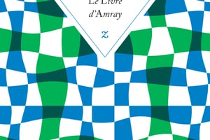 Le Livre d’Amray, de Yahia Belaskri, éd. Zulma, 144 pages, 16,50 euros © Photo de couverture.