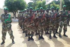 Des soldats de l’armée malienne © malinet.net