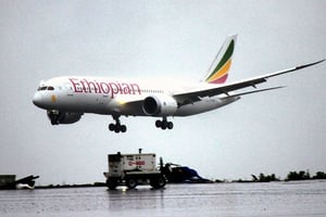 La compagnie éthiopienne a été plébiscitée tant pour sa classe Affaires que pour sa classe Éco/ © Elias Asmare/AP/SIPA