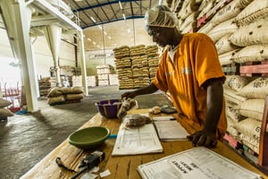 Unité de transformation du cacao dans l’usine de Choco Ivoire, à San Pedro, en mars 2016. © Jacques Torregano pour JA