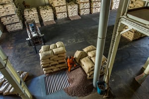 Unité de transformation du Cacao dans l’usine de Choco Ivoire à San Pedro, dans le sud-ouest de la Côte d’Ivoire. Mars 2016. © Jacques Torregano pour JA