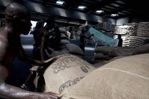 Des hommes chargent des sacs de cacao dans un entrepôt du port de San Pedro en Côte d’Ivoire, le 9 janvier 2011 © Jane Hahn/NYT-REDUX-REA