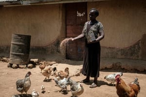 Monica, 30 ans, a investi dans un élevage de poulets dans son village de Bondo, au Kenya le 3 octobre 2018. © Yasuyoshi CHIBA / AFP