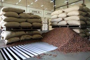 Usine de cacao