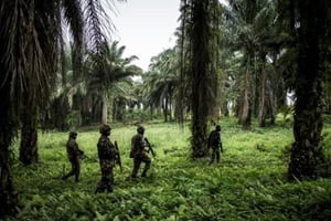 Opération militaire conjointe contre les rebelles ougandais des ADF. © AFP