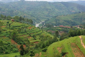 Les collines de Nyabarongo, au Rwanda (Illustration) © Creative Commons / Flickr