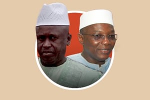 Ibrahima Doucouré, fondateur de DPA, et Seydou Nantoumé, fondateur de Toguna Agro-industries. © Montage JA