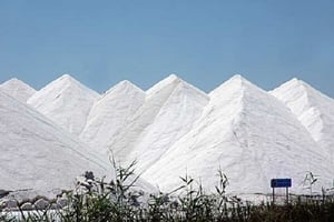 Le salin de Sousse, en Tunisie. © Cotusal