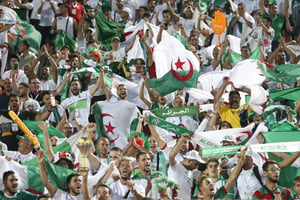Les supporteurs algériens durant la demi finale de la CAN 2019 face au Nigeria, le 14 juillet au Caire. © Ariel Schalit/AP/SIPA