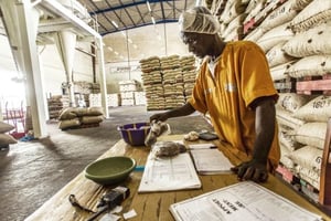 Unité de transformation du cacao dans l’usine de Choco Ivoire à San Pedro, dans le sud-ouest de la Côte d’Ivoire, en mars 2016. © Jacques Torregano pour JA