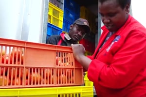 La start up Twiga Foods au Kenya propose de réduire les intermédiaires entre fermiers et distributeurs © capture Youtube