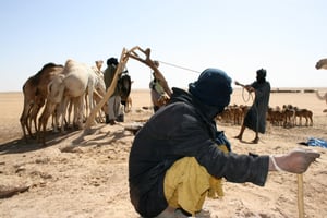 L’État malien doit s’engager dans un « pacte de confiance avec les communautés », en plaçant le retour de la sécurité proactive au cœur des enjeux. © Flickr