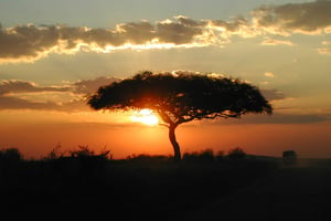 Coucher de soleil dans la réserve nationale du Masai Mara, dans le sud-ouest du Kenya. © Angela Sevin / Flickr