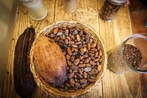 Cacao (image d’illustration) © Crédit : Olga Pepe