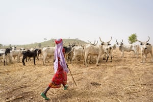 Une femme Mbororo, au Cameroun, en 2015. © Jorge Fernandez/LightRocket via Getty Images