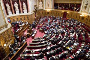 Un rapporteur spécial du Sénat français conduit des auditions sur la réforme du franc CFA. © Senat.fr