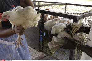 Achat d’un poulet sur le marché. (image d’illustration) © Tsvangirayi Mukwazhi/AP/SIPA