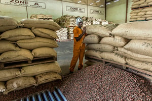 Unité de transformation du Cacao dans l’usine de Choco Ivoire à San Pedro © Jacques Torregano pour JA