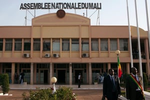L’Assemblée nationale du Mali, en 2014 (illustration). © REUTERS/Joe Penney
