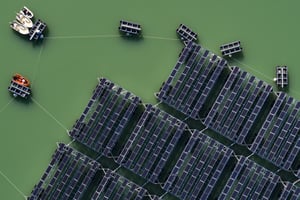 Des panneaux solaires flottants en Suisse, le 8 octobre 2019 (illustration). © Valentin Flauraud/Keystone via AP/Sipa