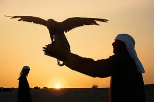 La fauconnerie compte parmi les activités préférées des émirs du Golfe. Falconry in the desert of Dubai. UAE
© Siqui Sanchez/GettyImages